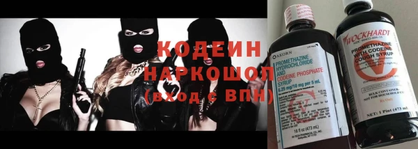 a pvp Няндома