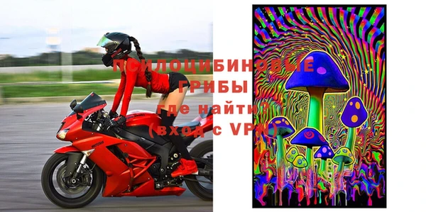 apvp Новозыбков