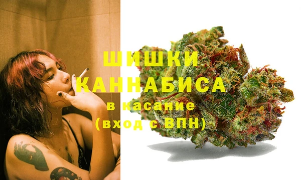 молекула духа Елизово