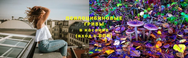 не бодяженный Шали