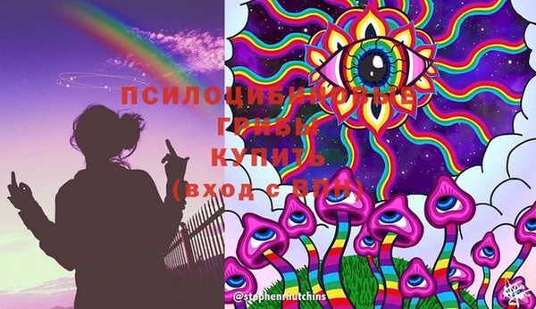 бутират Елабуга