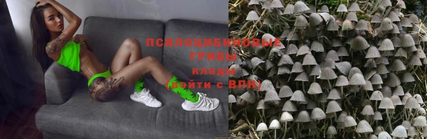 a pvp Няндома