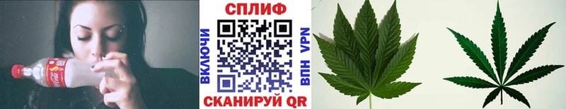 mega как зайти  Пустошка  МАРИХУАНА конопля 